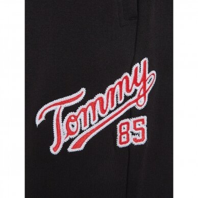 TOMMY JEANS vyriškos kelnės 4